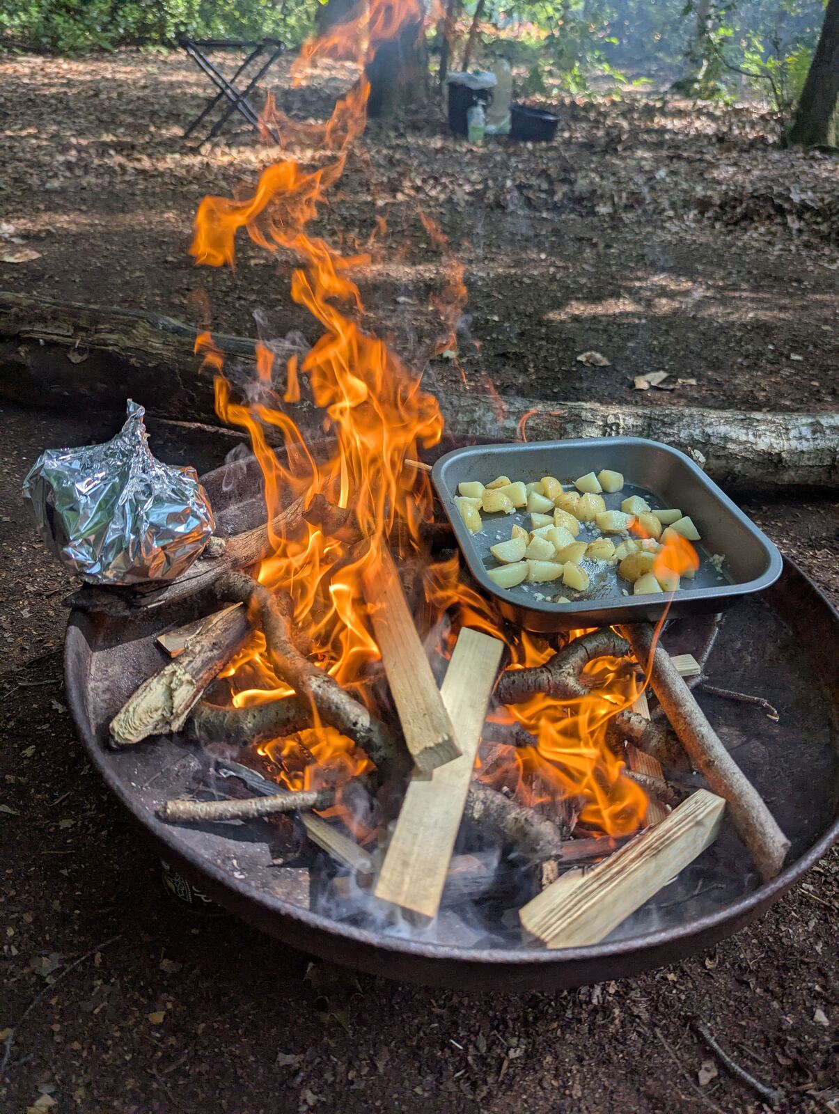 Potatoes and vegetables cooking in a tray over a campfire