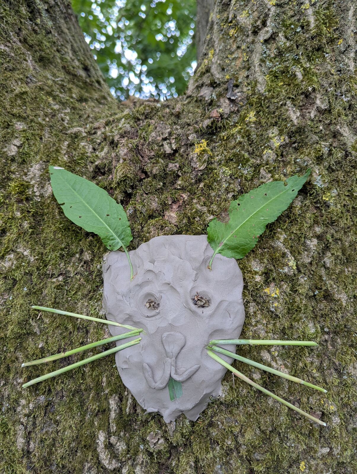 A clay face with leaf ears and grass whiskers pressed onto a mossy tree trunk