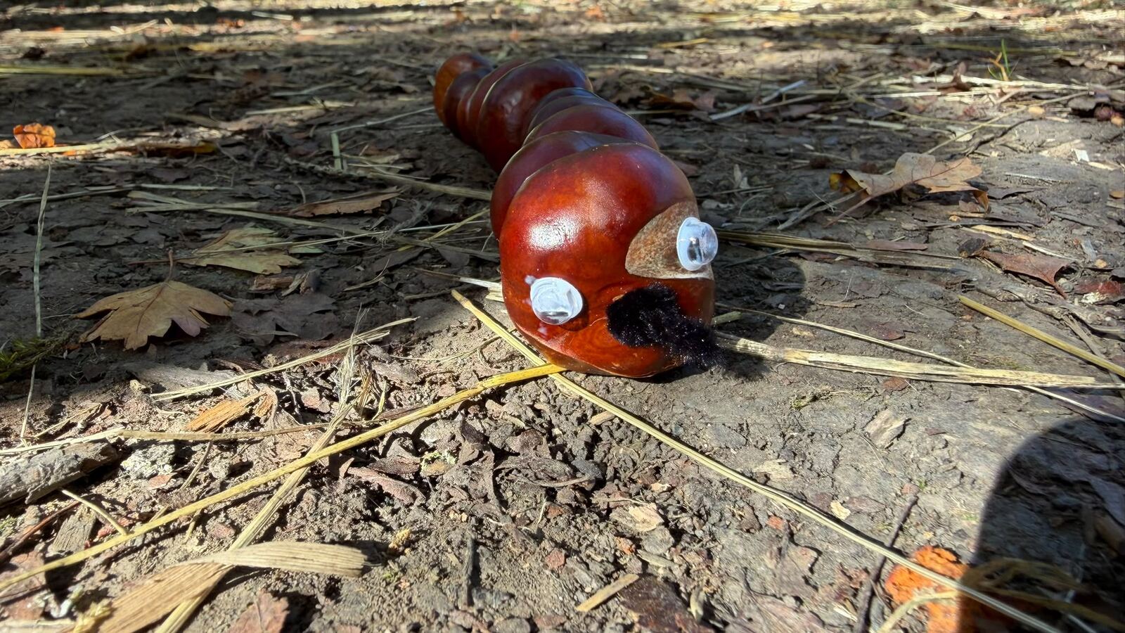 A conker creature with googly eyes and a moustache on the woodland floor